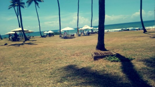 Ocean, Sea, Beach