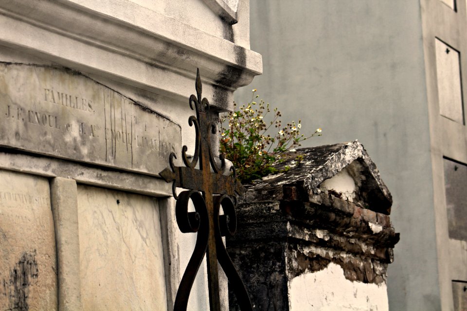 Flora, Cemetery, New orleans