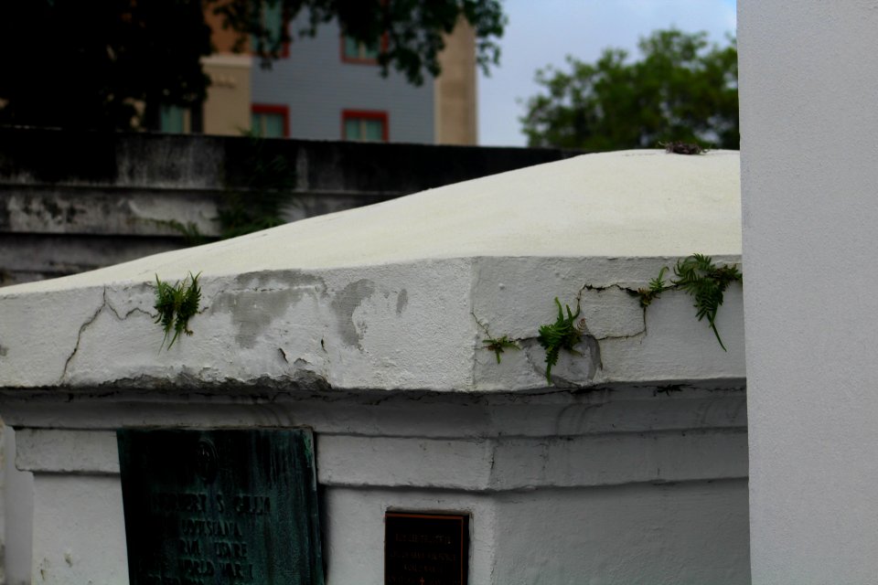 Flora, Cemetery, New orleans