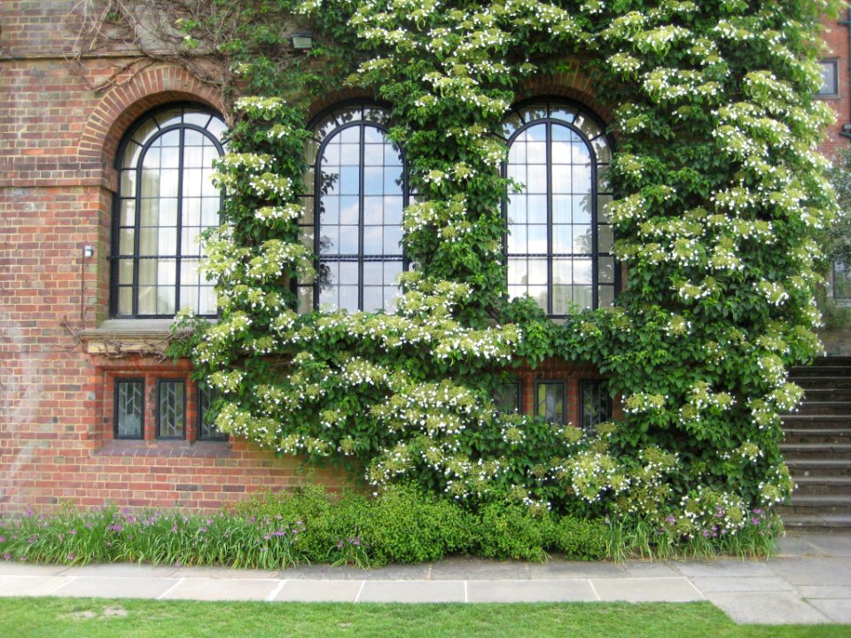 Winston churchill s chartwell home