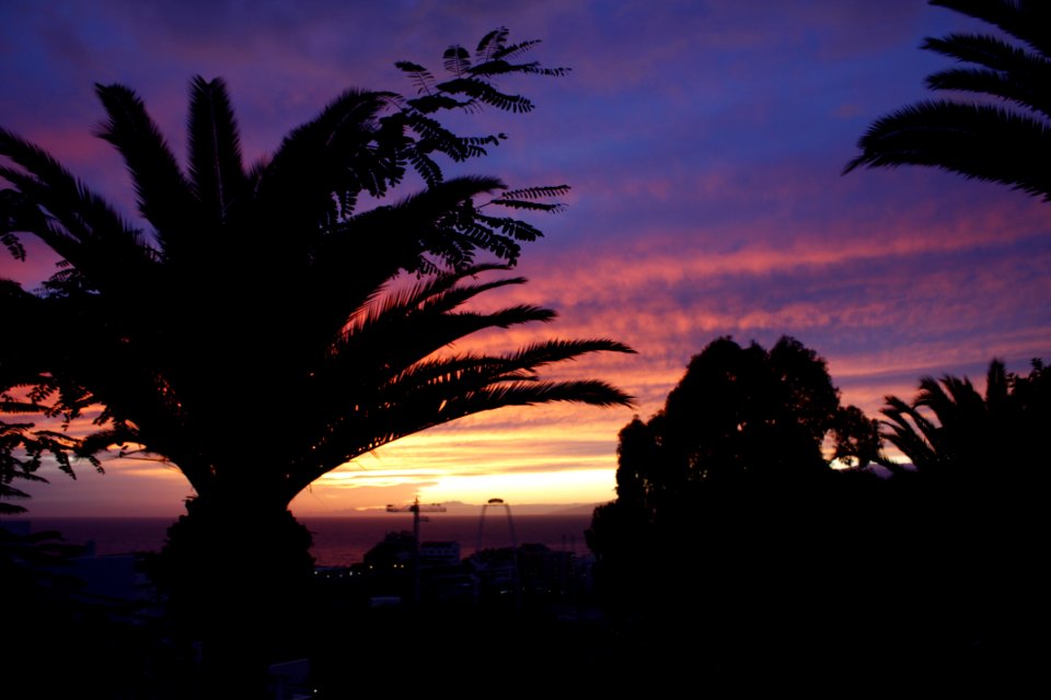 Tenerife, Spain, Black