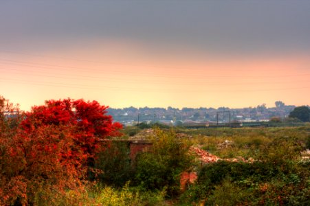 Manningtree, United kingdom, Red photo