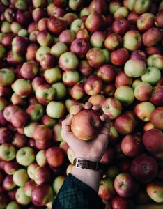 Healthy fruit food