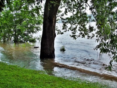 Riverside rhine, Germany, Riverside photo