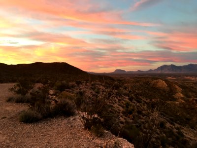 Big bend national park, United states, Chihuahuan desert photo