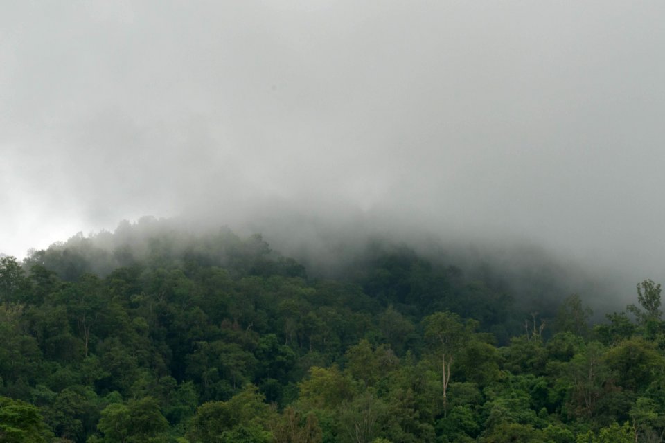 Thail, National park, Nature