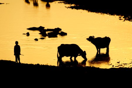 India, Ganjan, Light