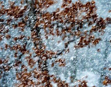 Hudson, United states, Snow