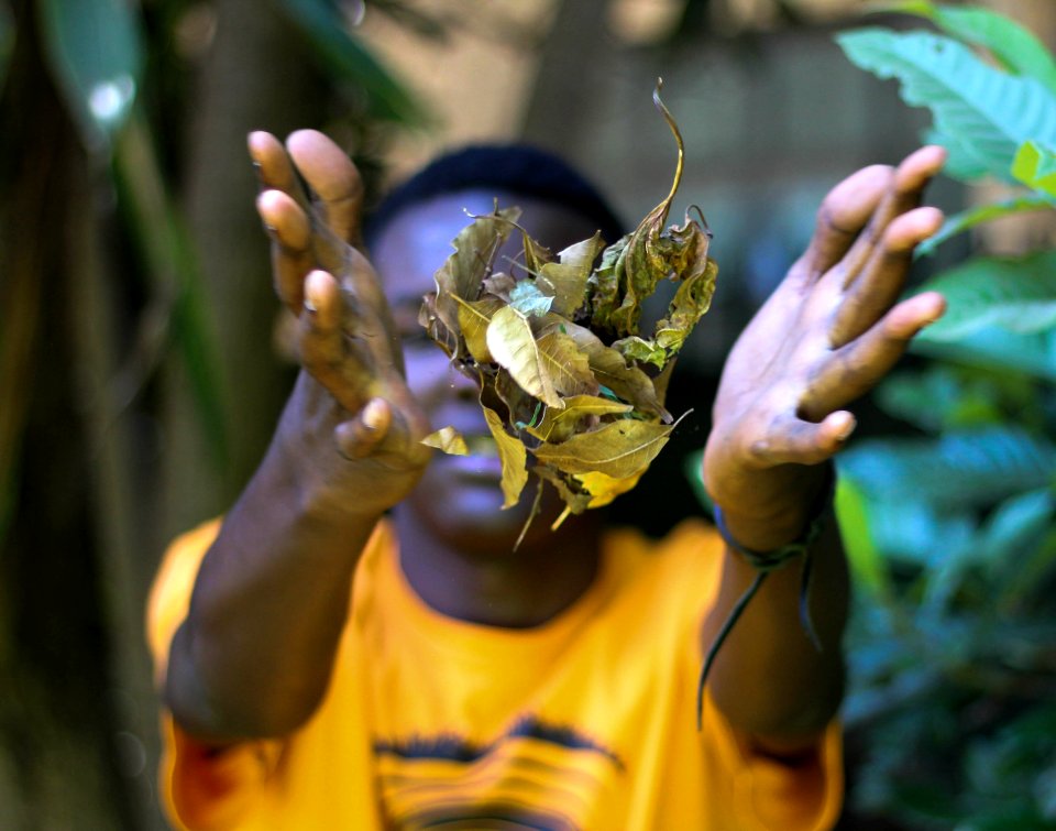 Nairobi, Kenya, Leafs