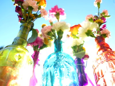 Vintage bottles, Flowers, Colorful