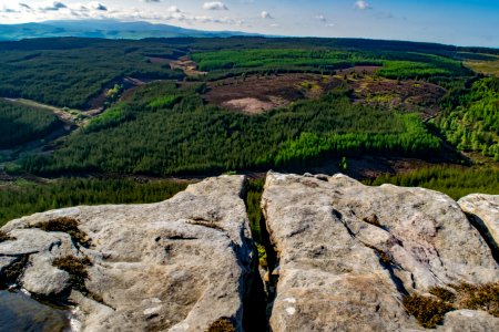 Northumberl, United kingdom, Forest photo