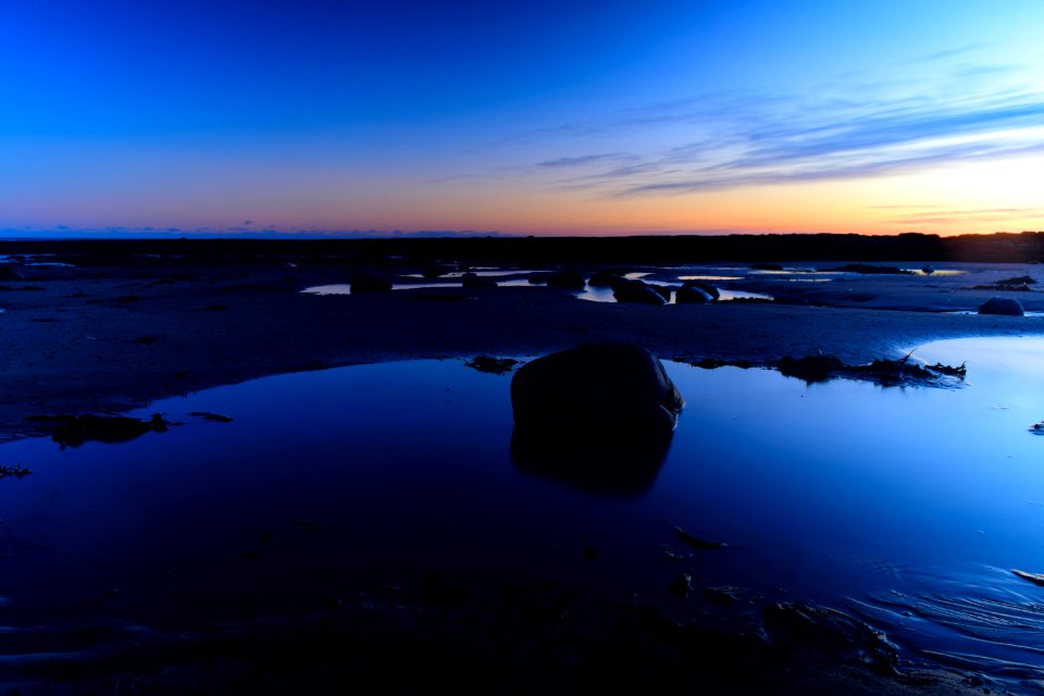 Longhoughton, United kingdom, Nature