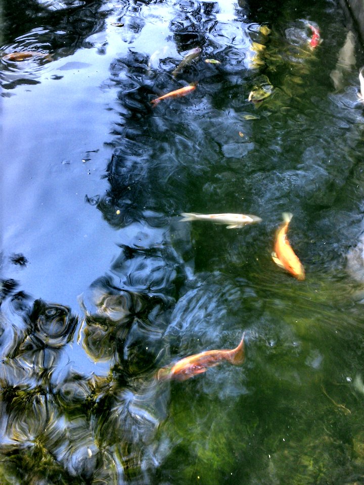 So paulo, Brazil, Water