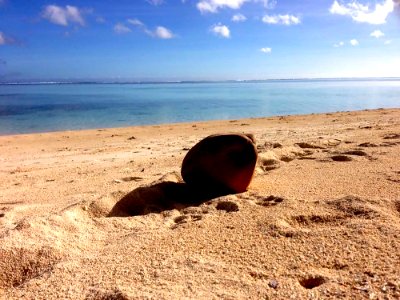 Cook Island, Coconut, Beach photo