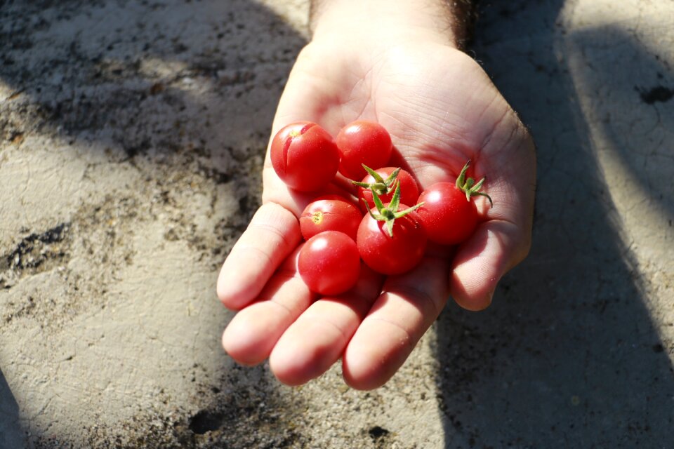 Village hands nature