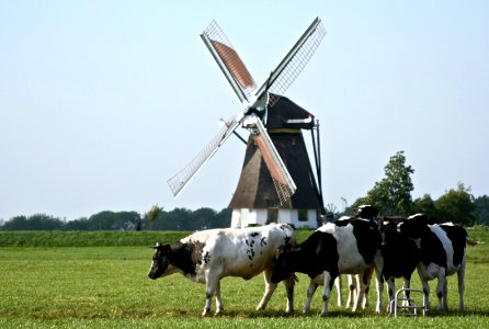 Netherl, Countryside, Nederl photo