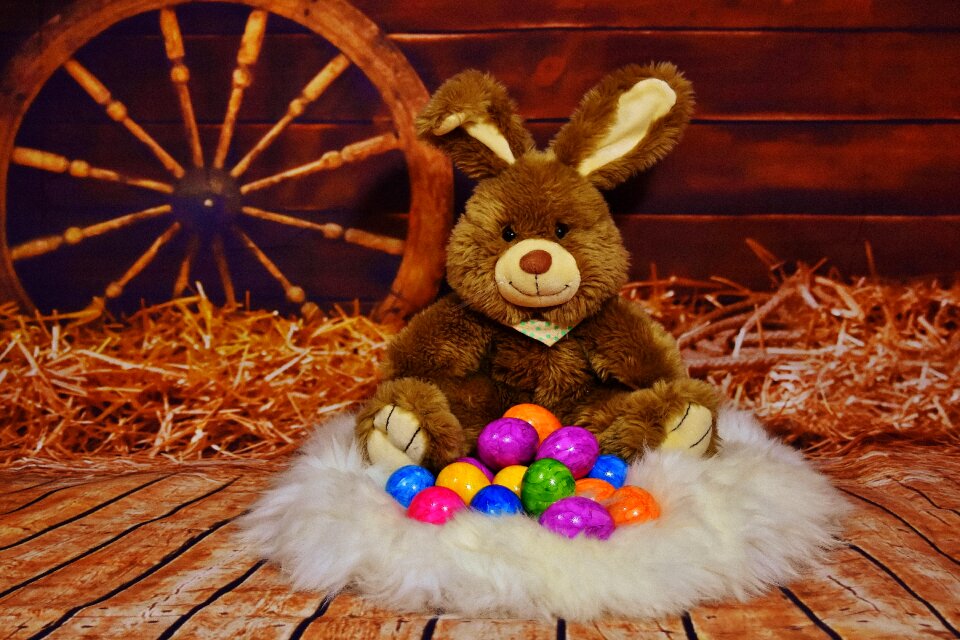 Easter eggs colorful colored