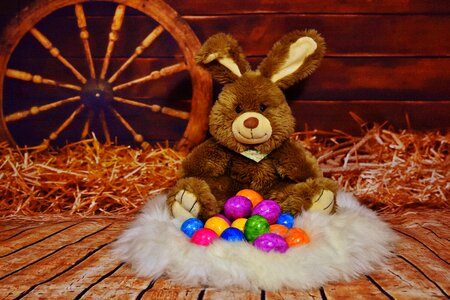 Easter eggs colorful colored