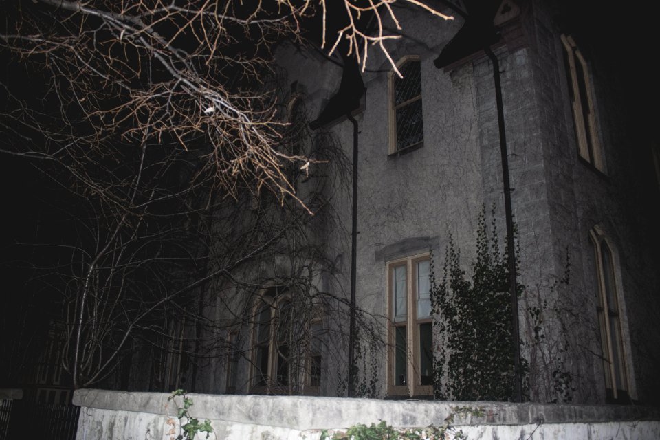 Outside, Tree, Night