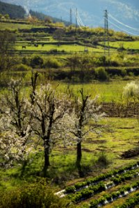 Krichim, Bulgaria