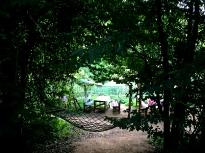 Picnic, Forest, Lake