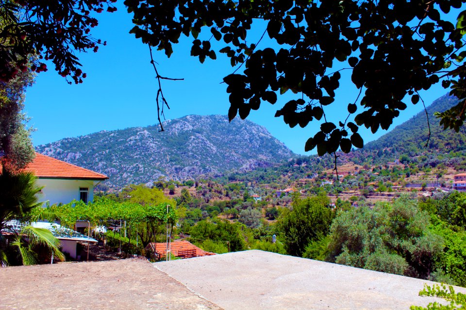 Mountain, Trees, Turkey