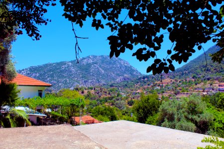 Mountain, Trees, Turkey