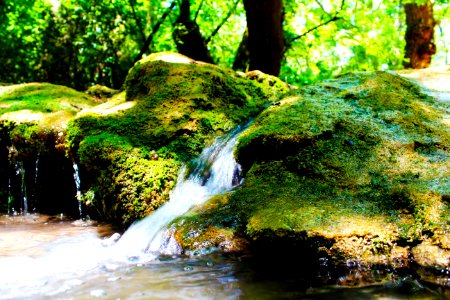 Turkey, Water, Nature