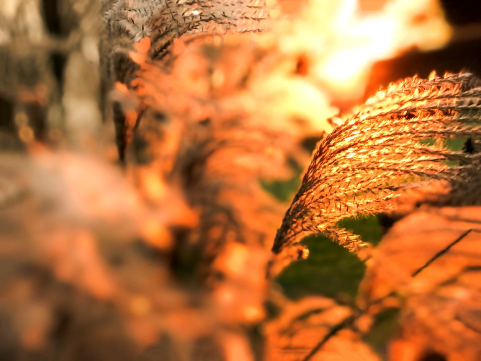 Blur, Orange, Red