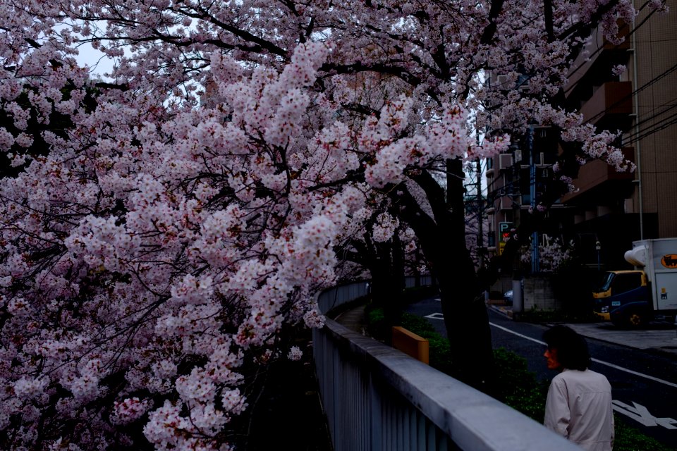 Tokyo, Japan, Feeling small