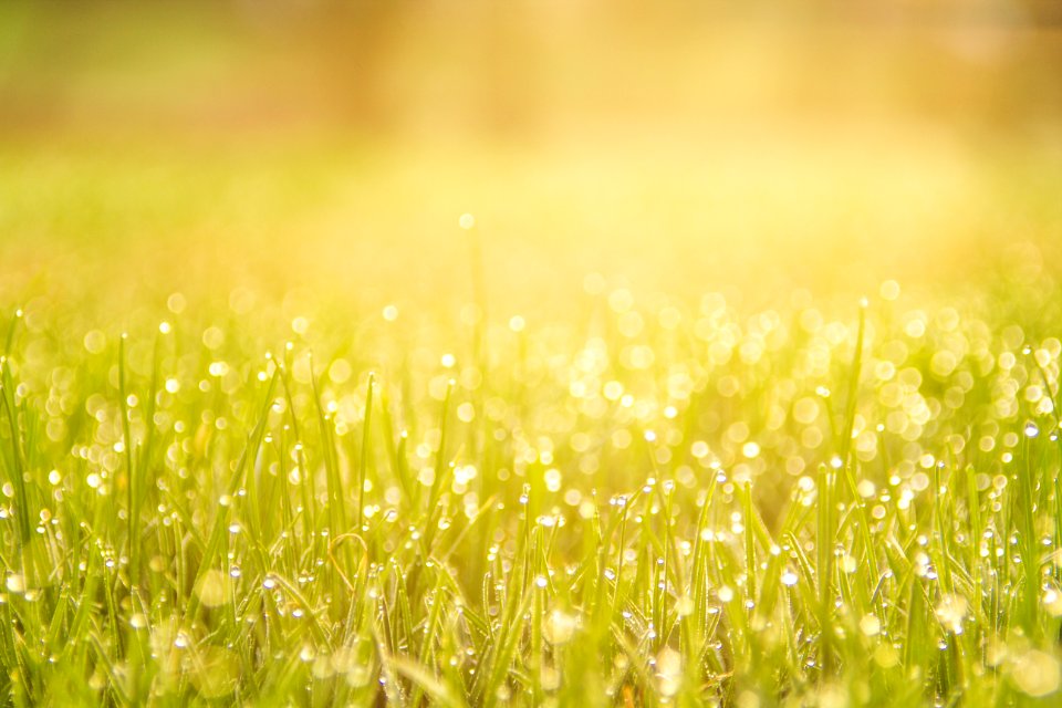 Light, Day, Daylight