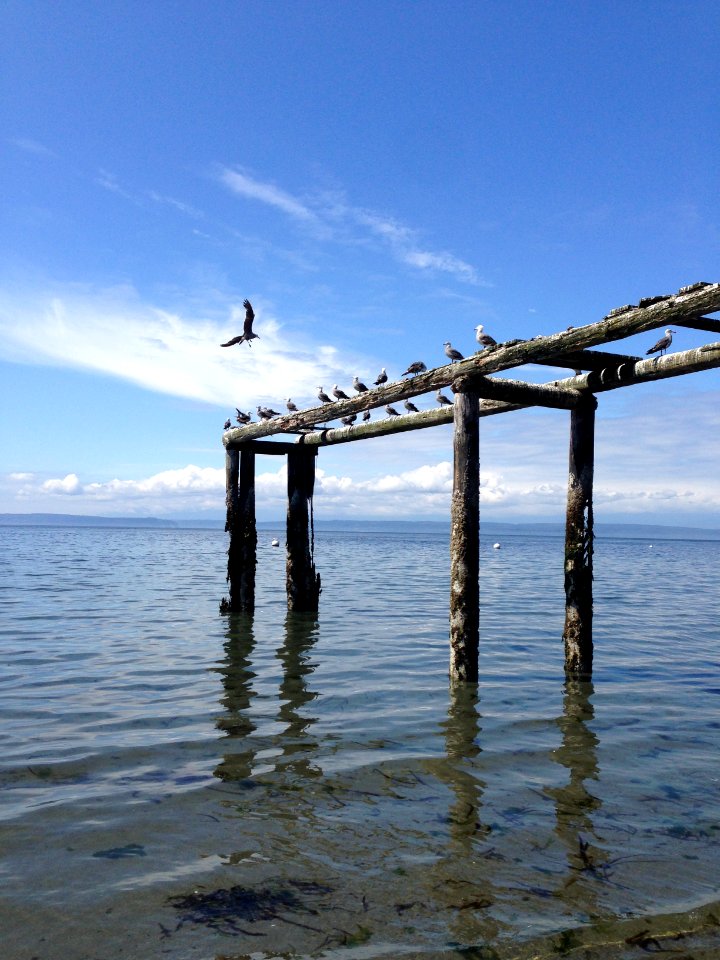 Whidbey Island, United states, Flight