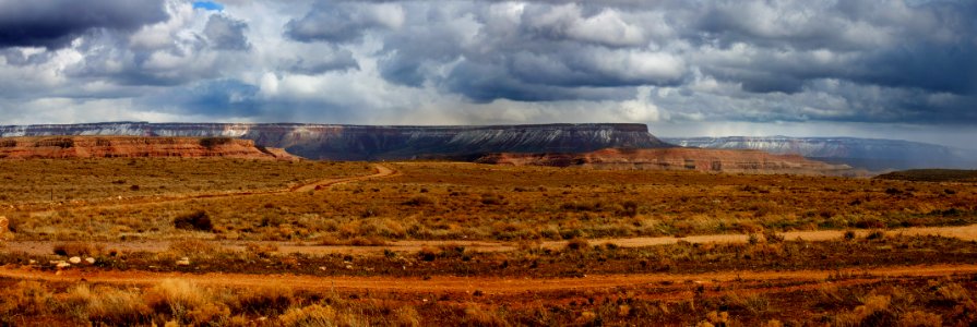 Canyon national park, United states, America photo