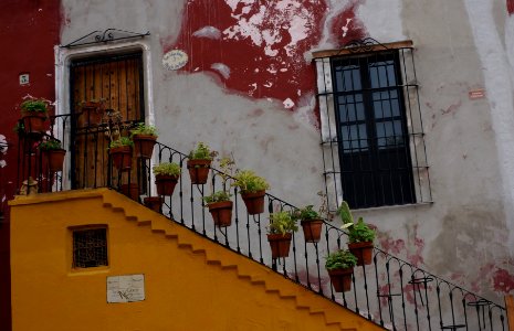 Guanajuato, Mexico, Bases