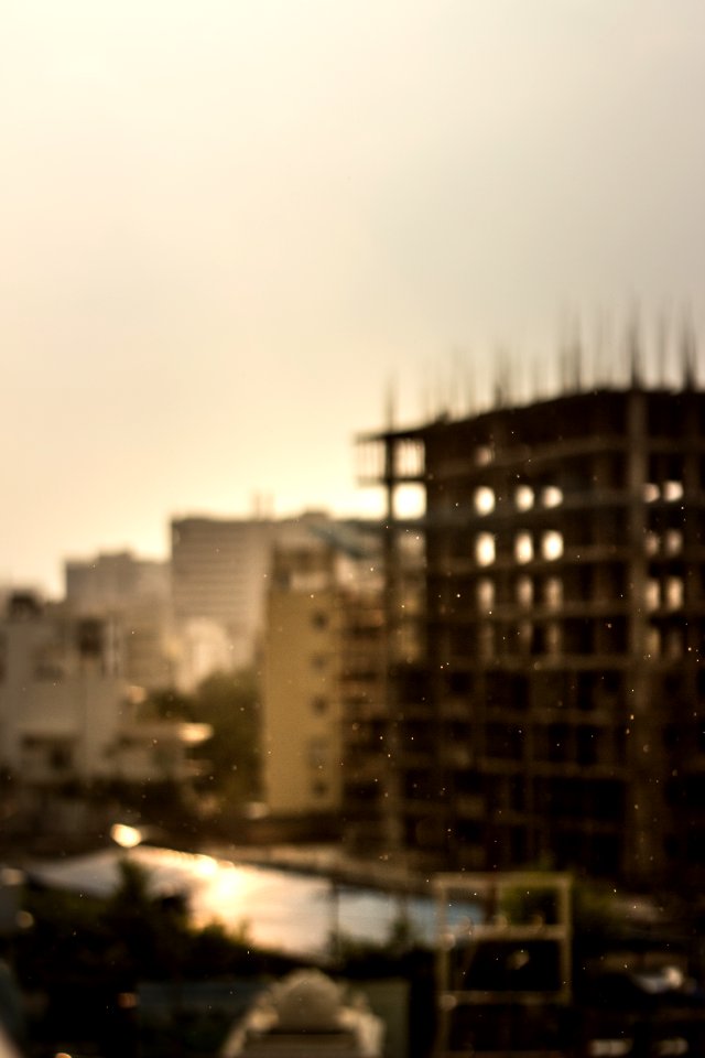 Sun, Rain, Summer