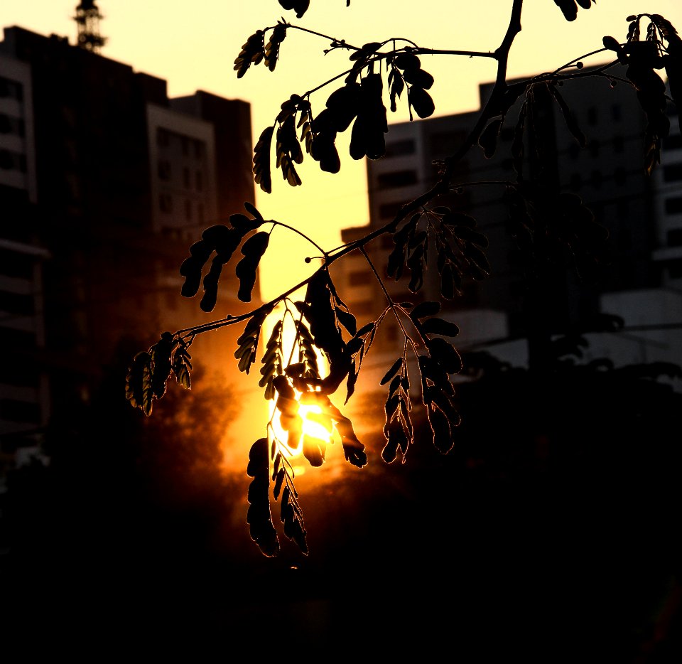 Madhapur, Hyderabad, India