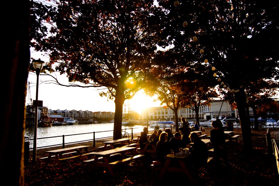Arnolfini, Bristol, United kingdom