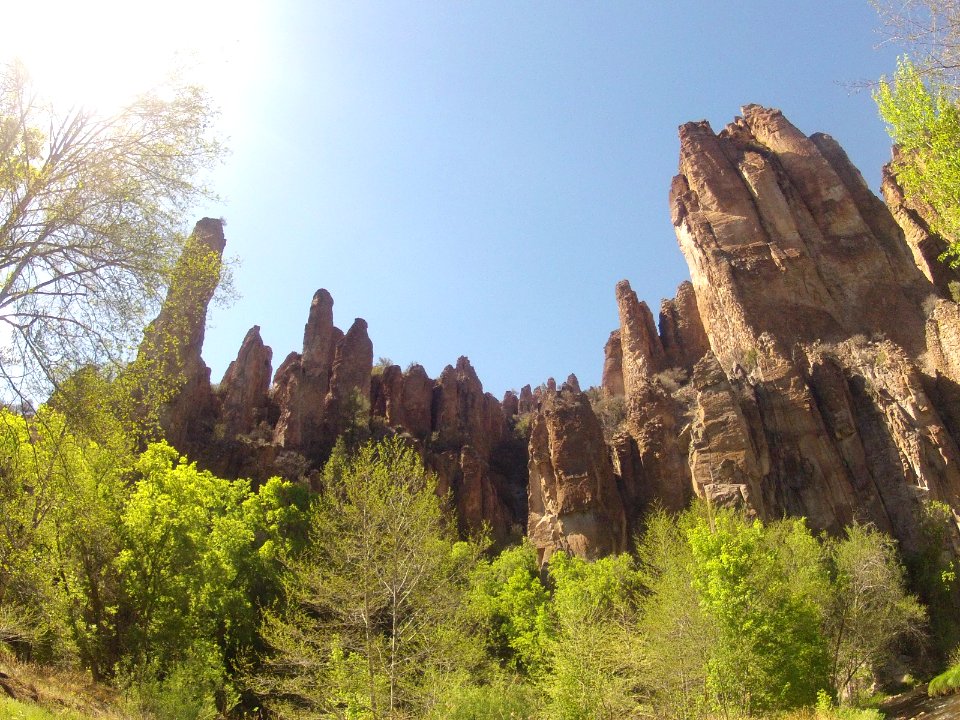 Gila national forest, Silver city, United states