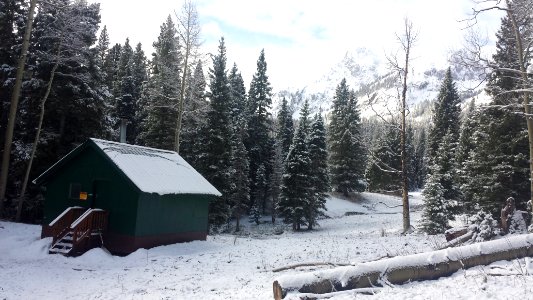 Trees, Snow, Cabin photo