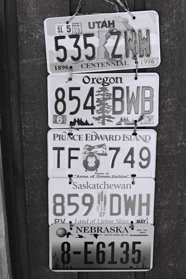 Black  white, Travel, Canada
