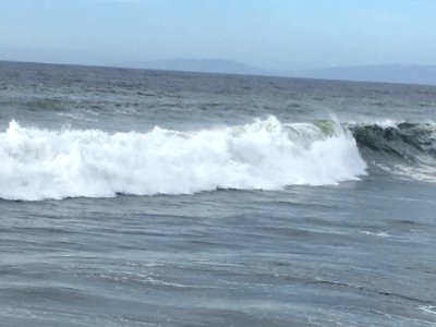 Sea