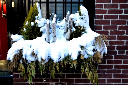Boston, United states, Festive