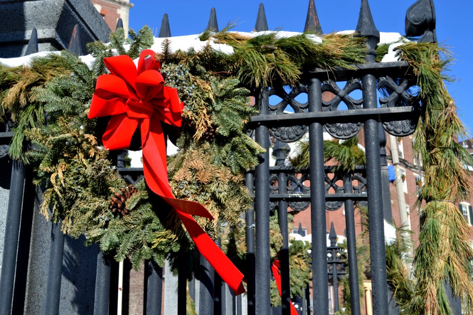 Boston, United states, Boston common