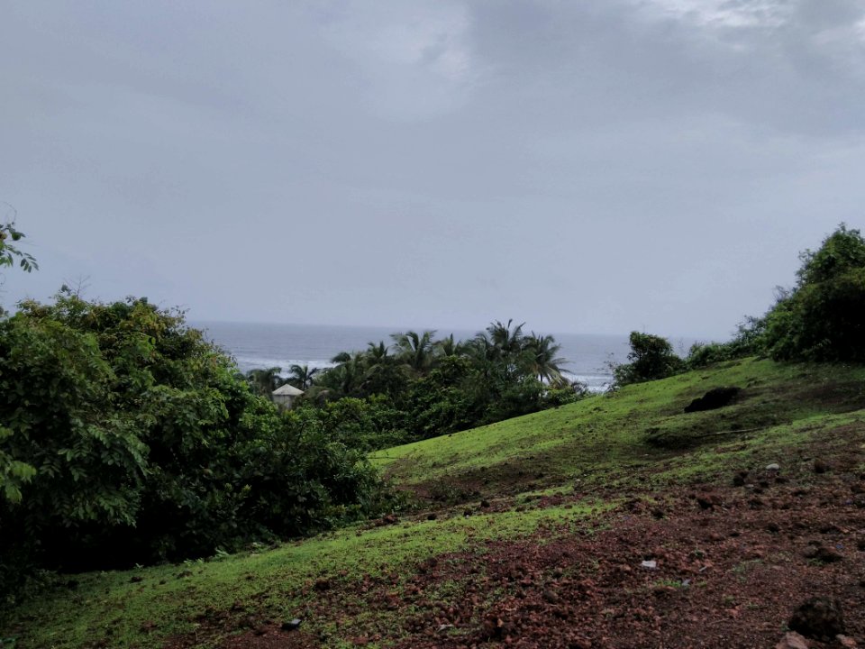 Vagator, India, Chillness