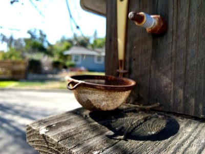 Sierra madre, United states, Neighborhood