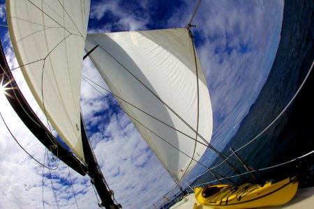 San juan Island, United states, Sailboat photo