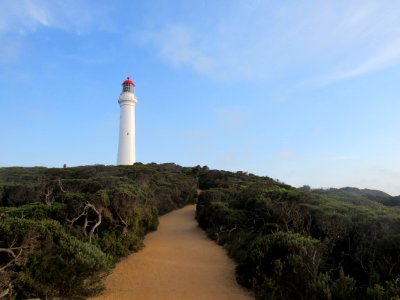 Split point lighthouse tours, Aireys inlet, Australia photo