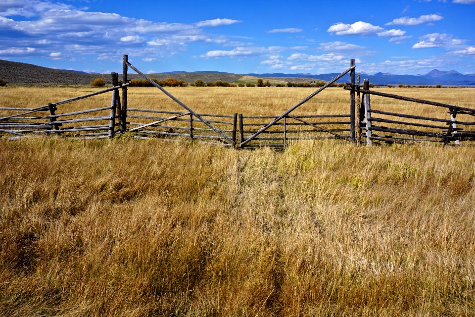 Wisdom, United states, Rustic photo