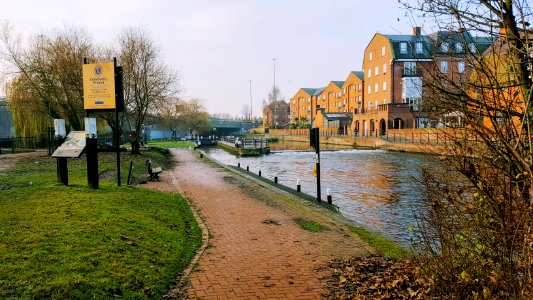 Reading, United kingdom, Trees