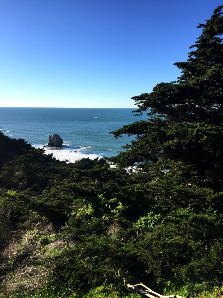Sea cliff, San francisco, California